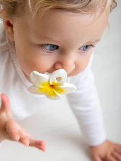 Hawaii La Fleur - OLI & CAROL Blanc - Oli Et Carol 7 Hawaii La Fleur - OLI & CAROL Blanc - Oli Et Carol -Bébé Boutique hawaii la fleur oli carol 1