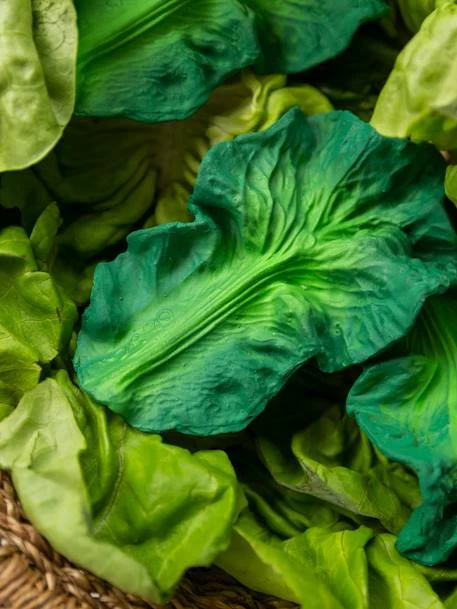 Jouet De Dentition Kendall La Feuille De Chou - OLI & CAROL Vert - Oli Et Carol 7 Jouet De Dentition Kendall La Feuille De Chou - OLI & CAROL Vert - Oli Et Carol – Image 5