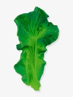 Jouet De Dentition Kendall La Feuille De Chou - OLI & CAROL Vert - Oli Et Carol 13 Jouet De Dentition Kendall La Feuille De Chou - OLI & CAROL Vert - Oli Et Carol -Bébé Boutique jouet de dentition kendall la feuille de chou oli carol 5