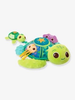 Juju, Maman Tortue éveil Des Sens - VTECH Multicolore - Toutes Les Marques