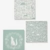 Lot De 3 Toiles DANS LES BOIS Vert Sauge - Vertbaudet -Bébé Boutique lot de 3 toiles dans les bois