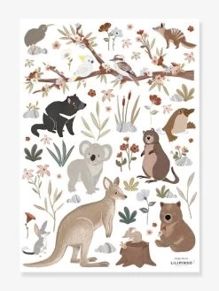 Stickers Animaux D'Australie Lilydale LILIPINSO Gris - Lilipinso