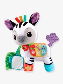 Timéo P'tit Zèbre D'activités - VTECH Multicolore - Toutes Les Marques